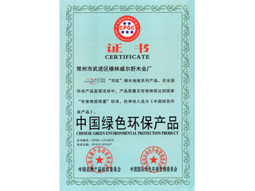 中国绿色环保产品